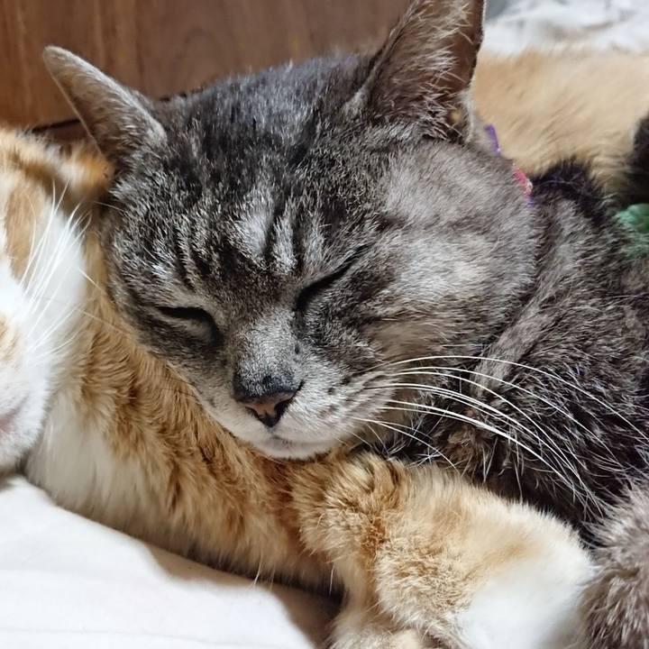 4012039b 41a6 4214 91dc e94ea1d23eed 1587563259937