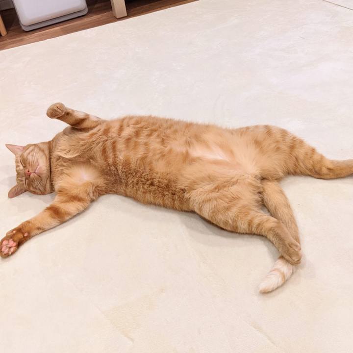 4012117b c293 4daa 804e d96dbed5d65e 1622982488136