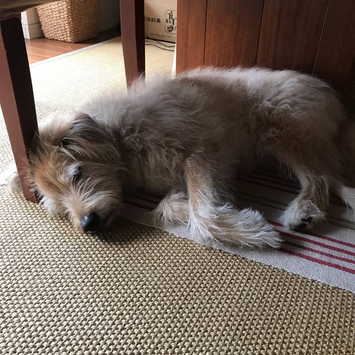 40121588 dbff 4f3e 9c2c e5b14ce1b754 1561606427803