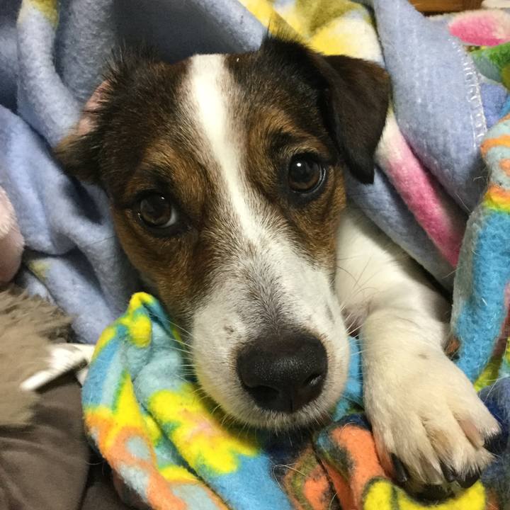 40122271 3e3d 4d87 82c0 e82ba2fcc222 1519303711955