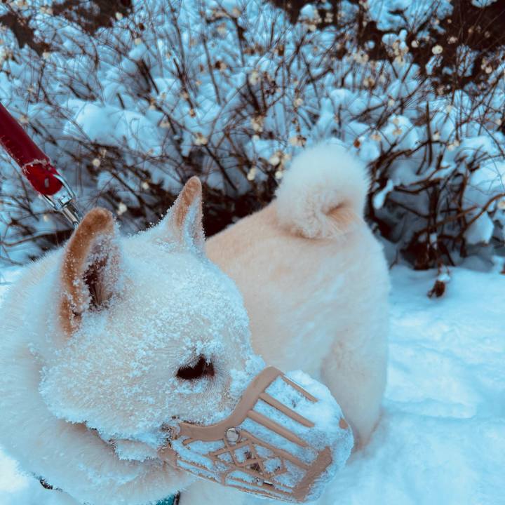 4012287a 3cdc 475d 88a1 59878d049126 1733436597032