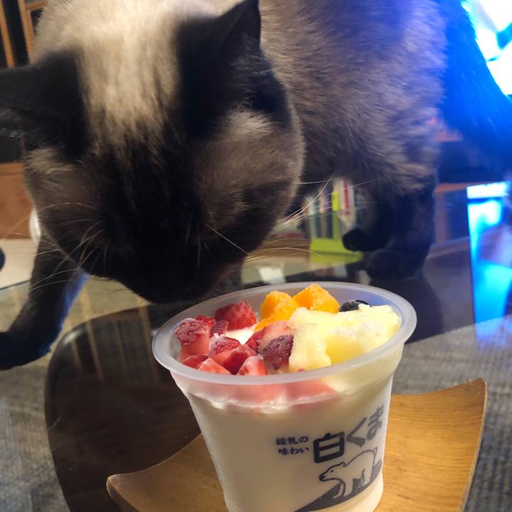 40124cfd 1fe6 4bd1 b6d8 1e77759b34ad 1628166305591