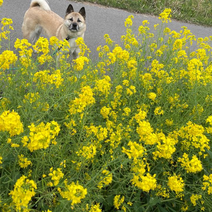 4012fe44 9cad 414a 8c6f 3168aafbe595 1679741661139