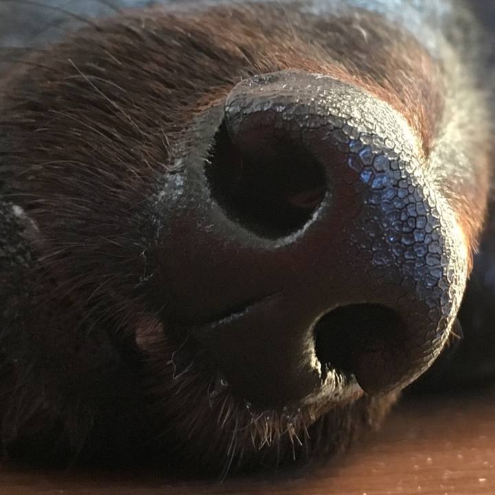 40132ed2 2815 4a24 a5f0 4d694a455a9f 1508883171400