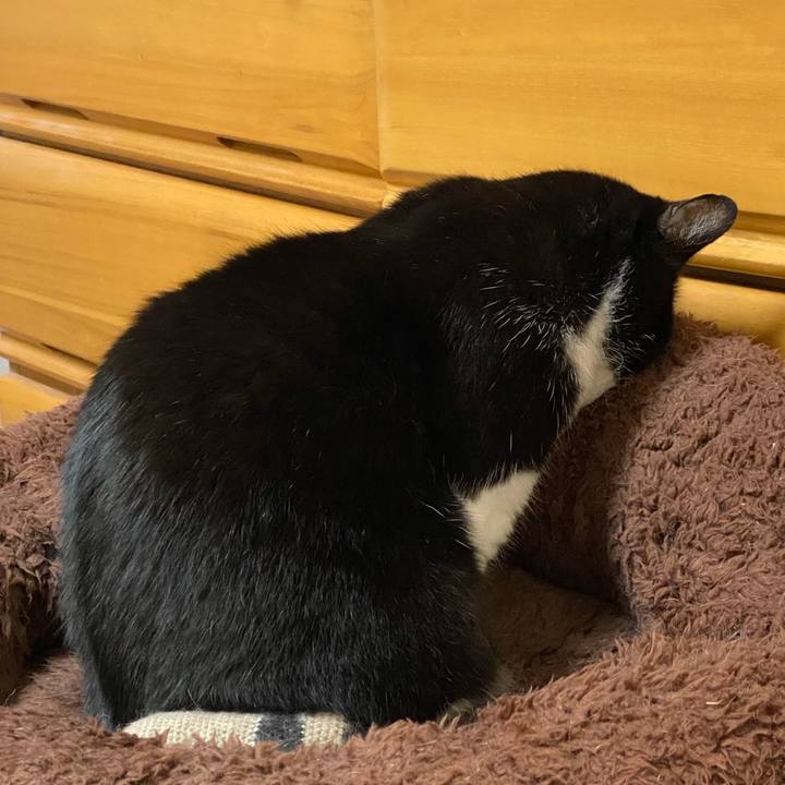 40134182 7e7d 4df5 b3d6 0c9c4e45e541 1701631874665