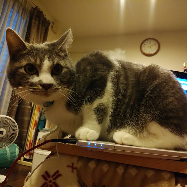 40135928 2cf1 467c b7b9 24fc1a15ab09 1579421638643