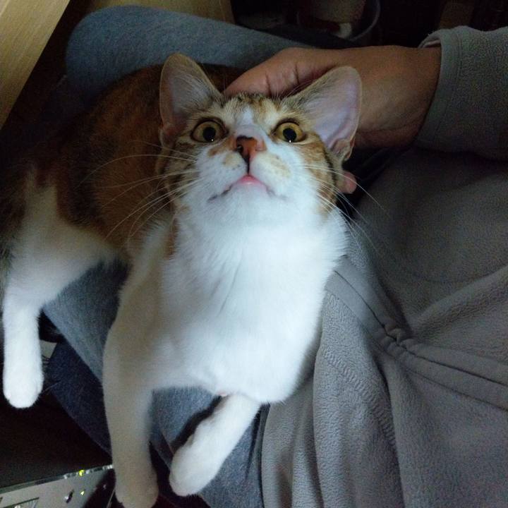 40136ba3 9e70 4744 bf6a ca88a7f8e9e6 1549538478401