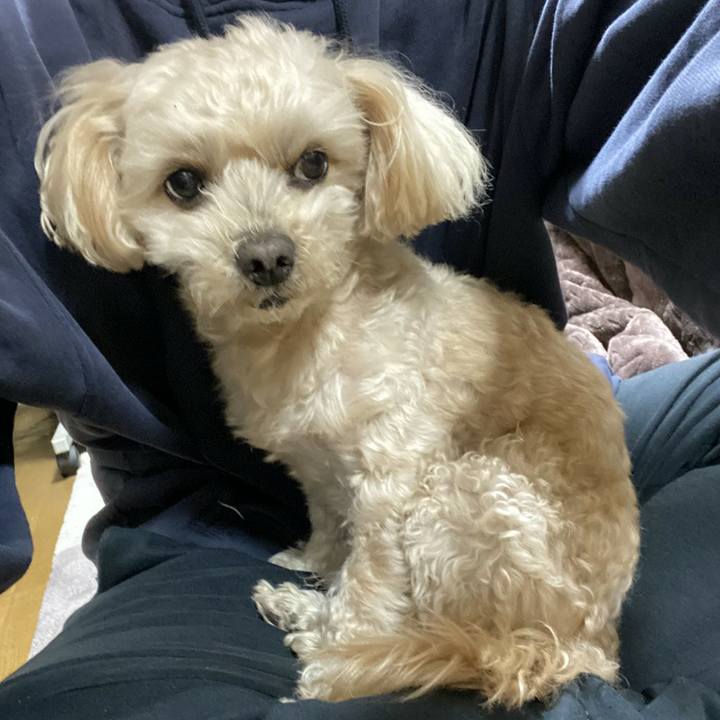 4013944b 2724 4b52 9752 a4a20ef9c629 1609875830431