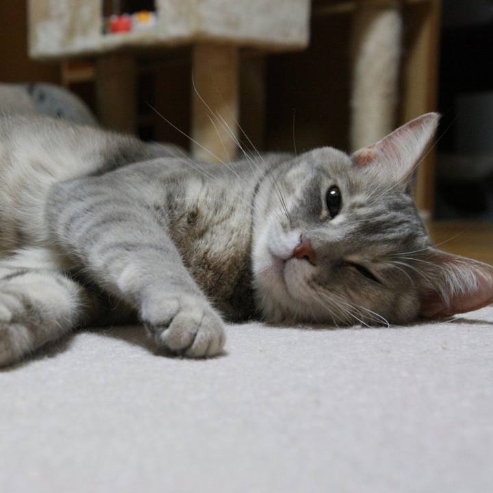 4013a651 f135 4660 bf29 94e2d931ca1c 1522847714638