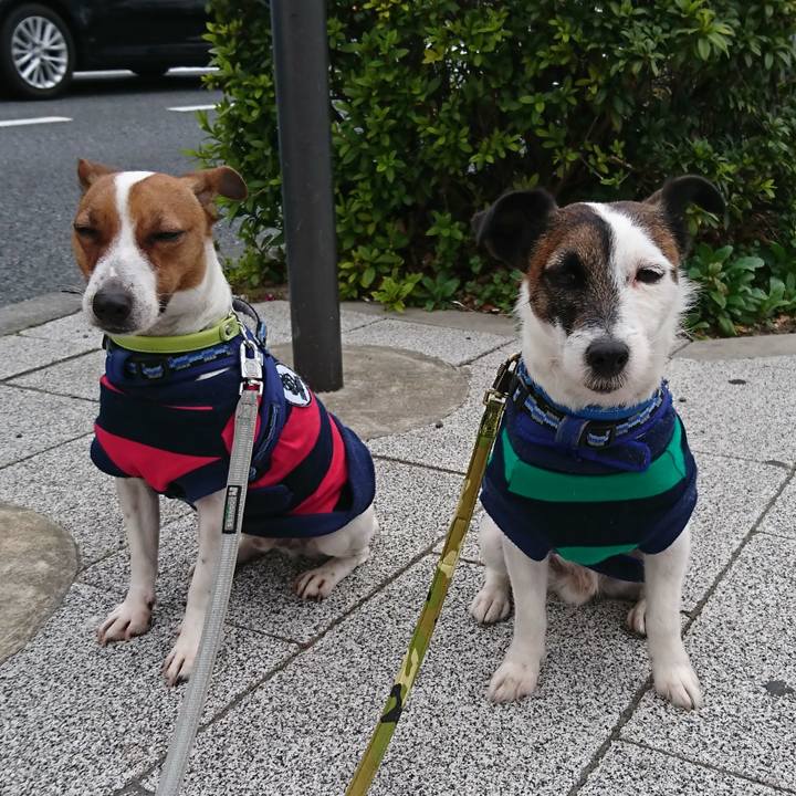 4013b479 d3d0 4b1a 97f4 1b8be96f86f6 1553129222503