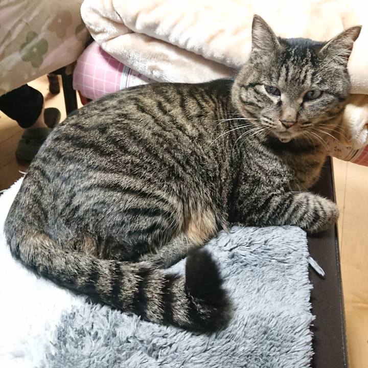 4013c611 8e56 41f4 91bc ae0857d9ecb6 1643805704178