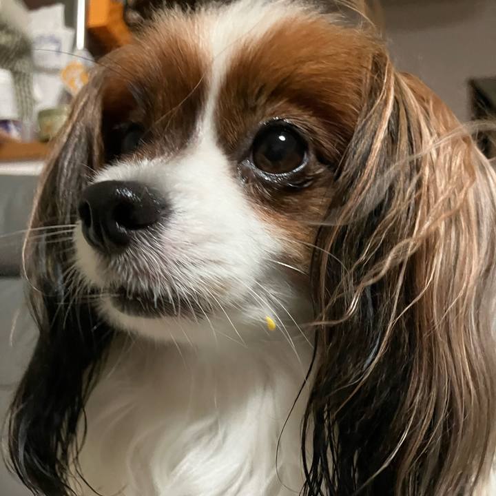 4013cbf7 4e4c 4bba b21c 33c76342d611 1724021766985