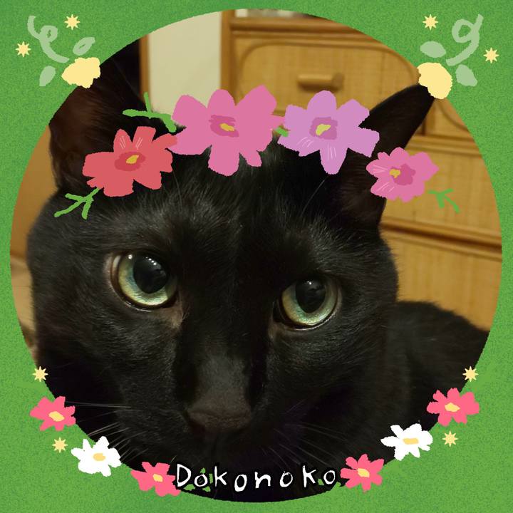 4013d642 1ac1 4116 8614 28a1a62e6c48 1726844802304