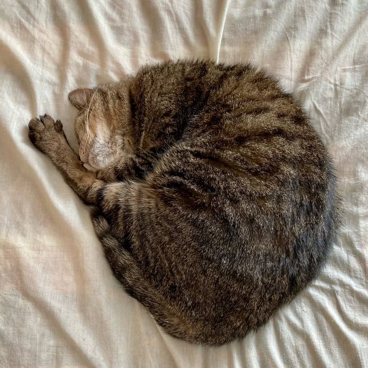 4013f556 2e82 402c b1a1 d4354e04ddbe 1679978779721