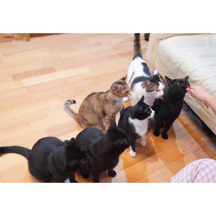 4014142b 20c0 405b a896 ab397150af92 1602772369536