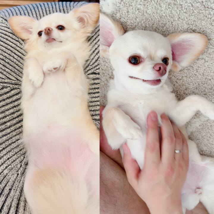 40143354 5f91 472a a499 ff7ac9d0b080 1721462676667