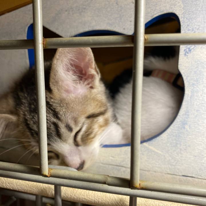 40144451 abe8 4d54 913d 38d097bf7366 1625731105727