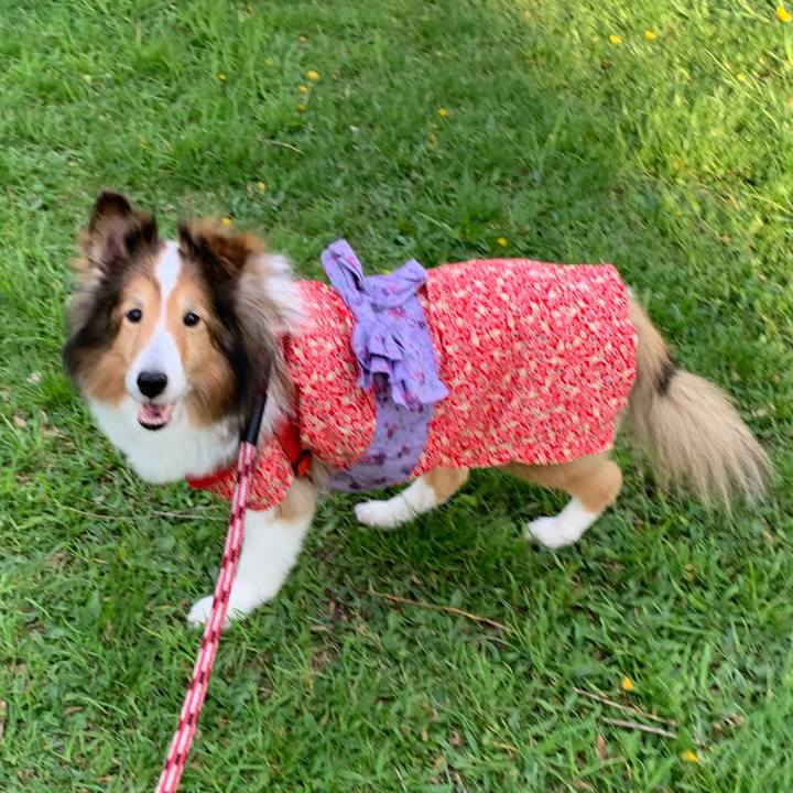 40144605 c465 403c bf63 2c5262ff33ca 1569667511676