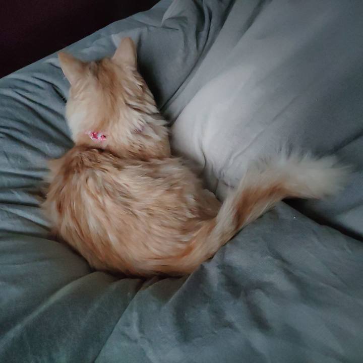 4014600a 74a9 4243 a555 74cd59150bc9 1669858715024