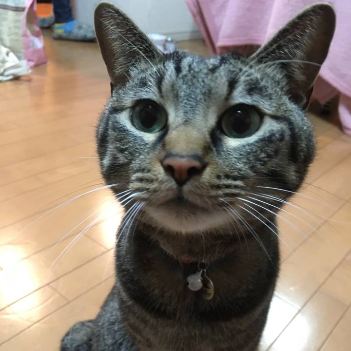 40149a41 14a6 4cfc adc1 d3b4697f01ad 1517655367090