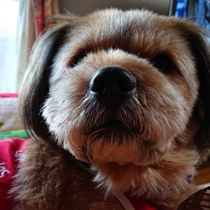 4014a6e5 5461 4728 9c41 ebc9bfa4fcf4 1546555917609