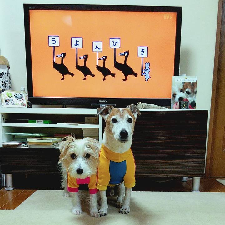 4014cef4 a136 4683 aaf6 5eb15324ea7a 1576794101315