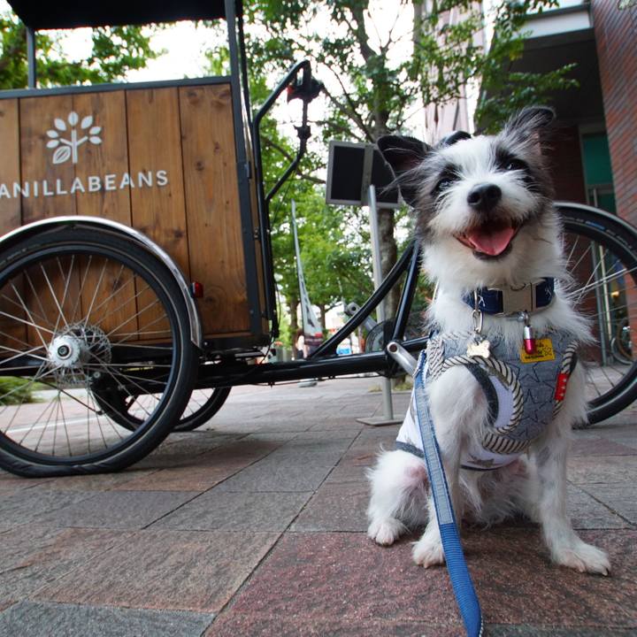 4014d32a dec5 437d a566 75d0e54b713f 1534802995129