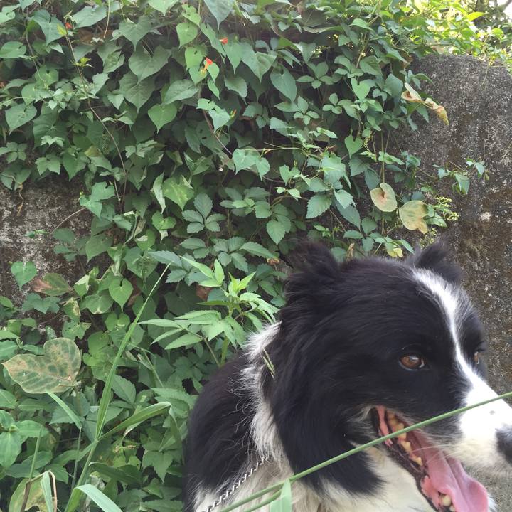 40153481 3b03 455a 920b 4e4768568136 1535411713837