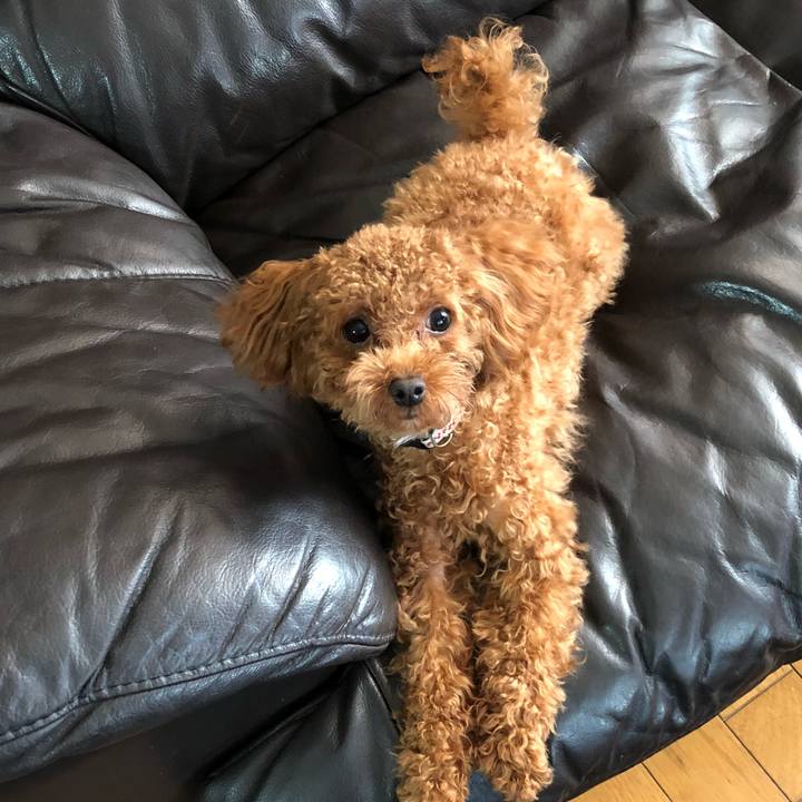 40156158 461c 4714 8ce6 4d1804459918 1510611877753