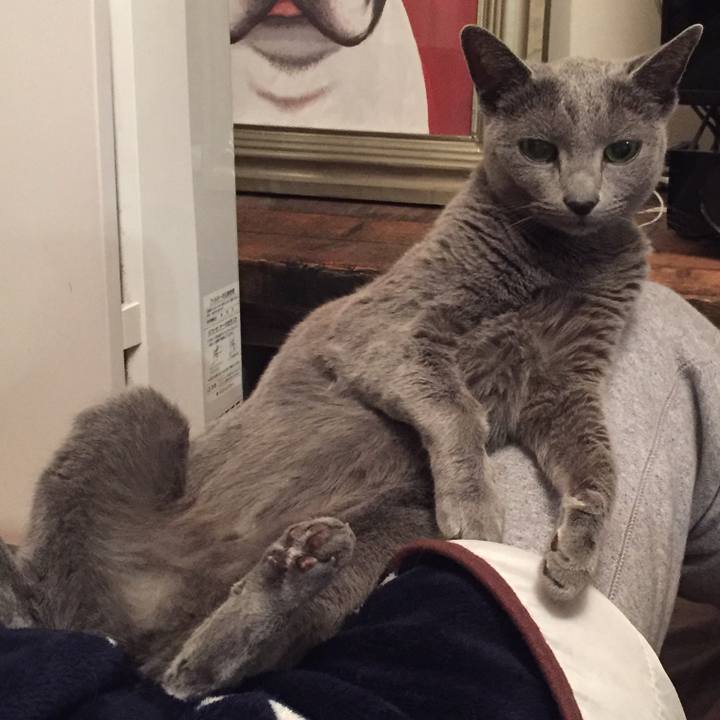 401565dc af1a 4d0e 94cb 35bf01021d07 1548716354809