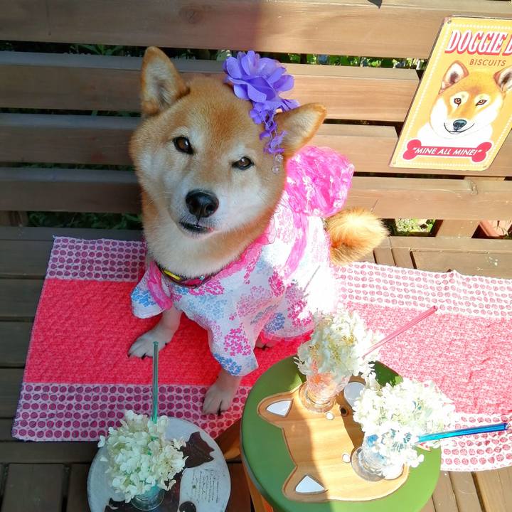 401588fb ac55 4b98 8f9a 4cc6be820bbd 1656396558230