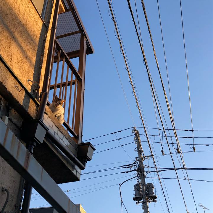 4015a646 4087 460c 91a0 c8bdf205302d 1644039121172