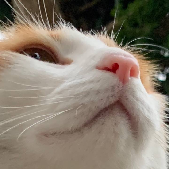 4015a949 bdca 4d44 88bd 22472e59db14 1587896124699