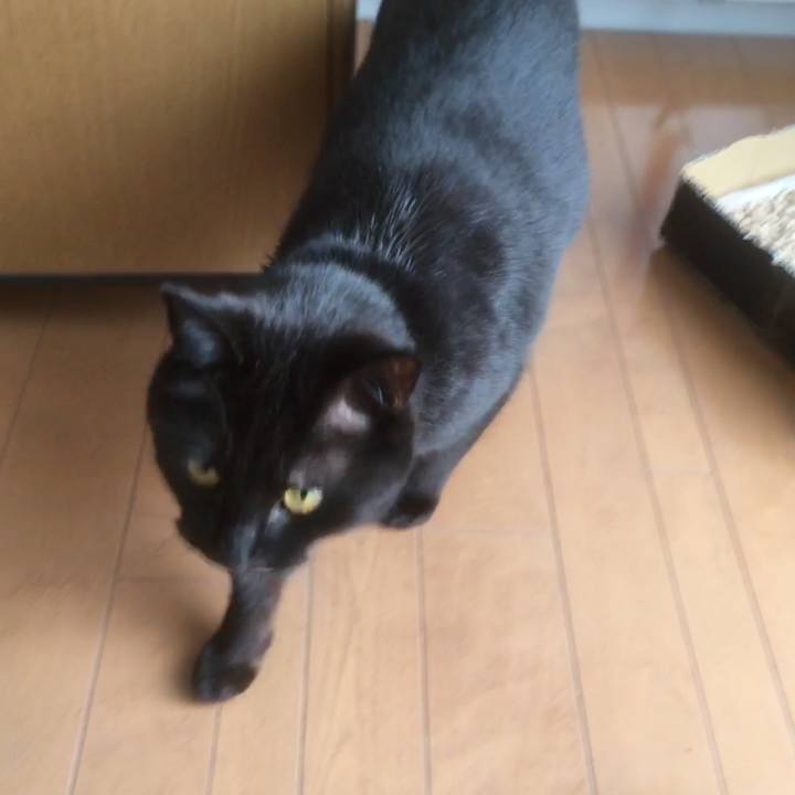 4015b229 9972 4c05 bdf0 20001ce98f72 1523528061386