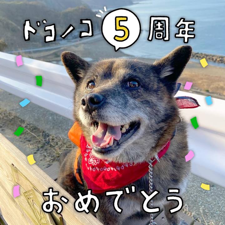 4015cd71 4956 4961 86c6 ec70cc0da864 1623339337670