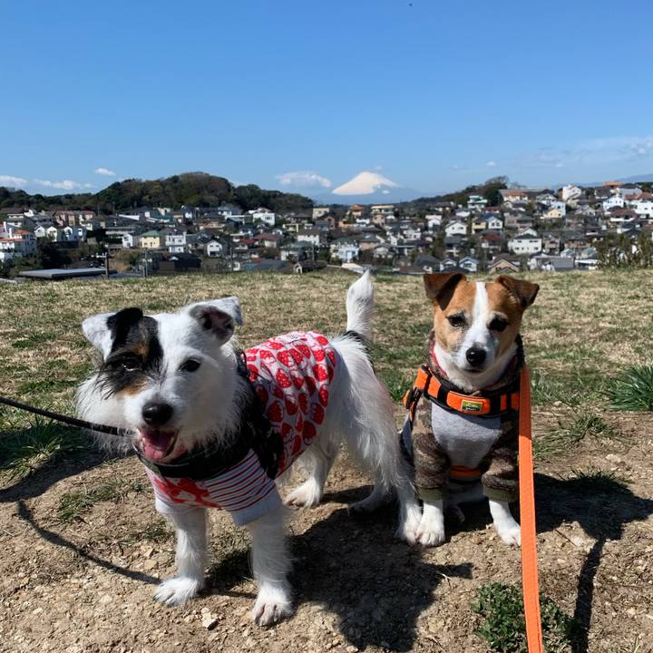 4015d2bd de08 4944 a70d 1c50b573017b 1615774672220