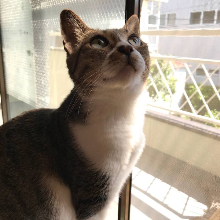 4015d8c5 3f0d 493b 9d33 d38d279dc13a 1525484637062