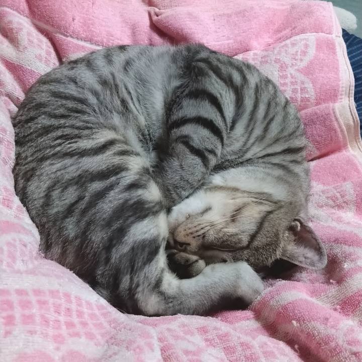 40161c17 6019 4081 9d45 12ecb12c1027 1605443045834