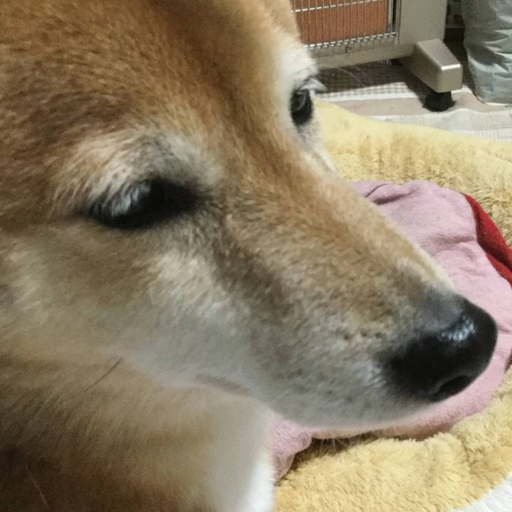 40162735 8f05 4873 a4e7 a982a1339e40 1581155690875