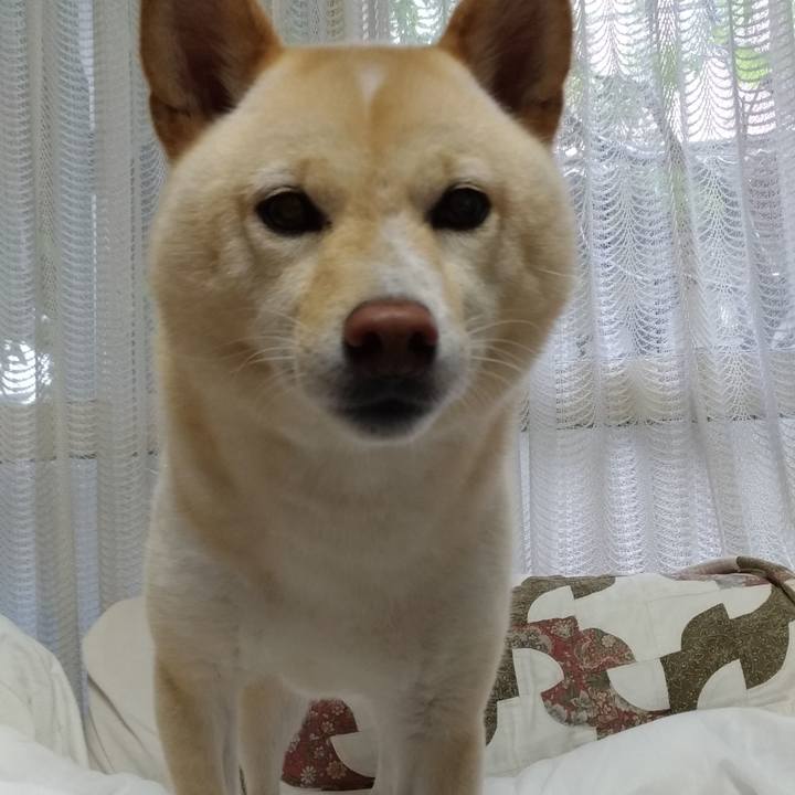 40162f2e c6dc 4ec2 a520 996bbcb0b67e 1593299751858