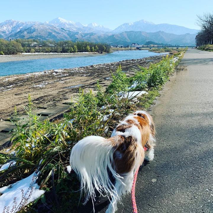 401643a8 1cce 4822 81f8 37e56009e07b 1575865427208