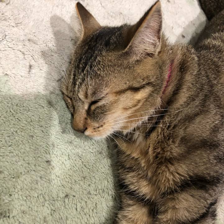 401666e5 83a0 4143 a1ae b1b8e8ac39c4 1600779180534