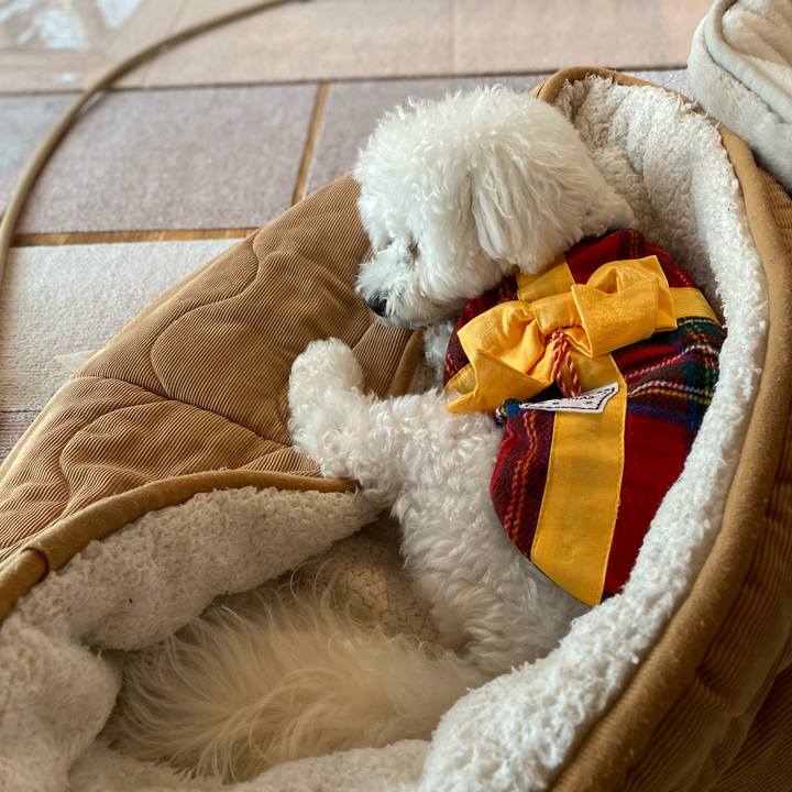 40166d28 69b5 4acd ae17 b4601730ecd1 1766538525315