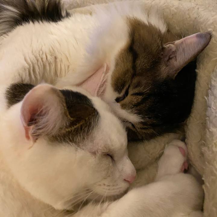 4016af7d aa71 4831 8a7b ea29295eae9c 1674347253615