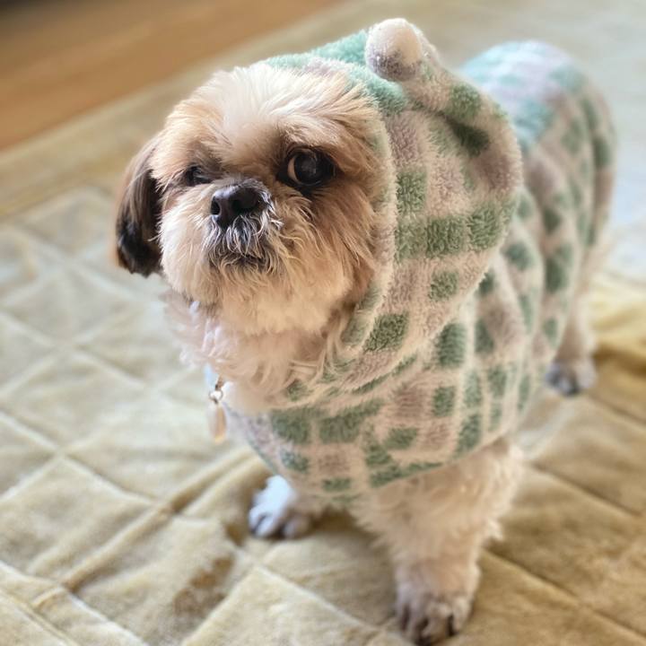 4016b3c6 bc74 4d8c 8c5f f3fcba170fa1 1675491575857