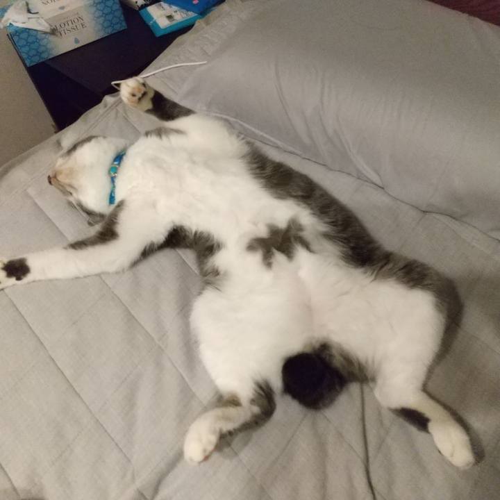 4016f27b 4ab5 450b 9ac5 71d31e20871b 1631972643279