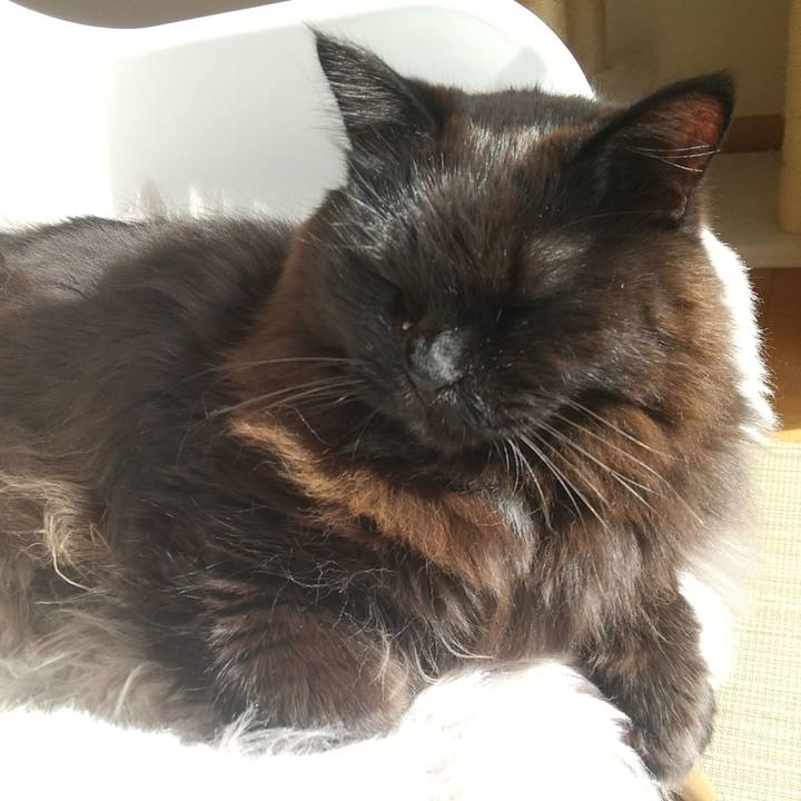 401728e3 33dc 4745 9440 711b2473d904 1645064799390