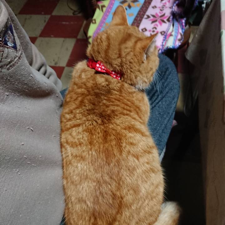 401750a6 11e5 47a2 8189 909996097861 1576701745153