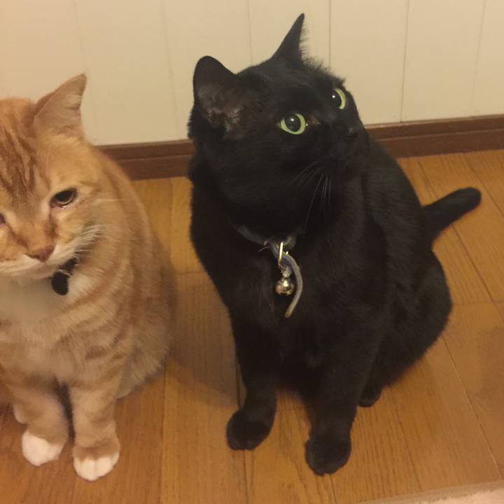 401758f8 f46c 42ef 98b9 85b1abec4226 1550732288738