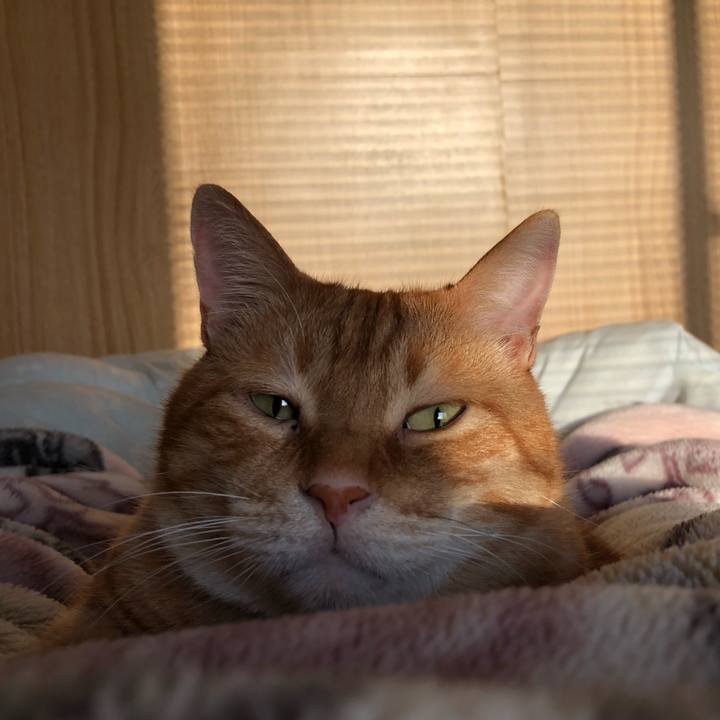 40177e85 e0ae 419a 868f 65b886a6ff3e 1648934456077